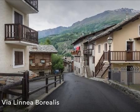 Appartamento Borealis Cogne Zewnętrze zdjęcie