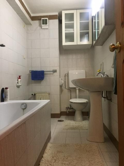 Appartamento Borealis Cogne Zewnętrze zdjęcie
